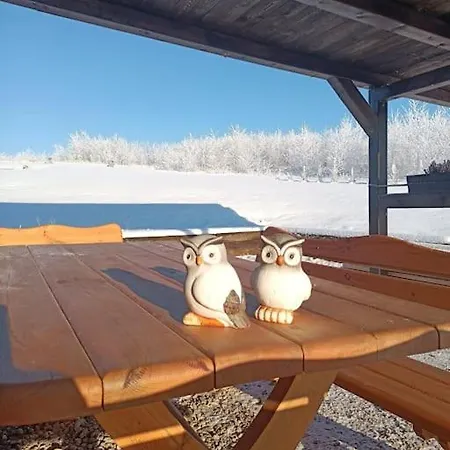 Sowka Na Kociewiu Holiday home *