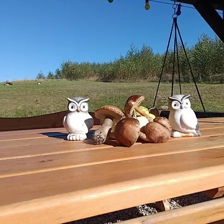Sówka Na Kociewiu *