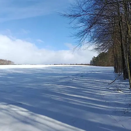 Sówka Na Kociewiu Nowy Wiec