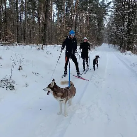 Holiday home Sowka Na Kociewiu Nowy Wiec