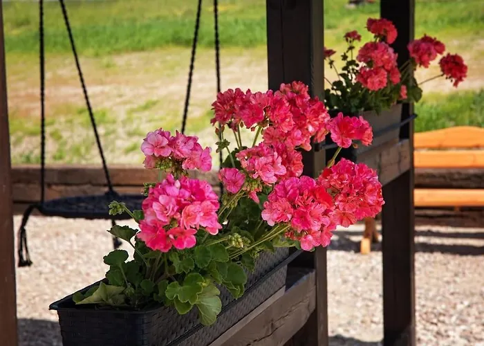 Sowka Na Kociewiu Nowy Wiec