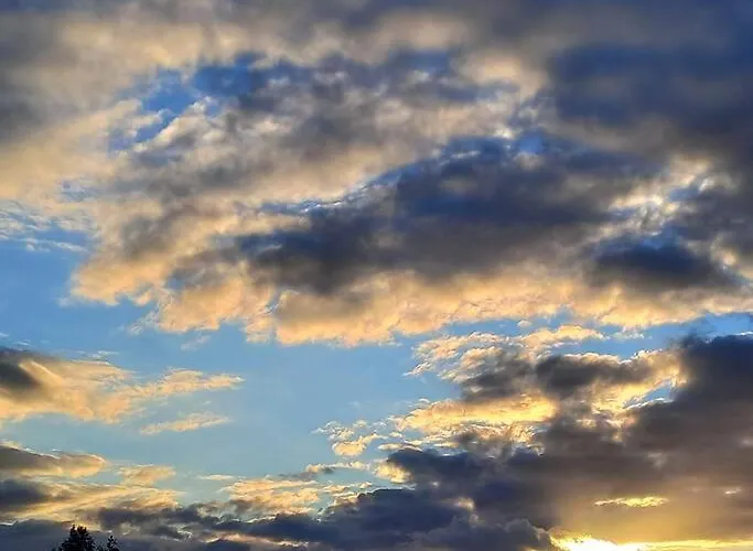 Sowka Na Kociewiu Nowy Wiec