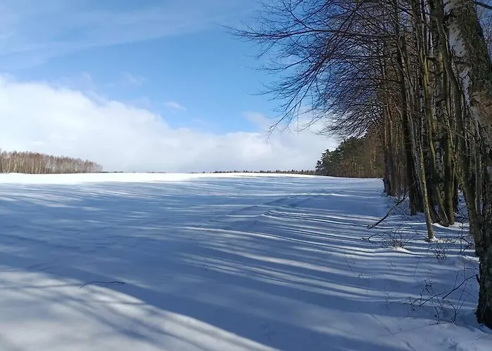 Sowka Na Kociewiu Nowy Wiec